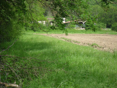 chasse entrainement aux lapins de garenne